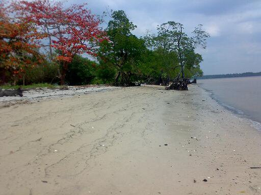 Pantai Solop Kecamatan Mandah Kabupaten Indragiri Hilir. Gambar; riaudailyphoto.com